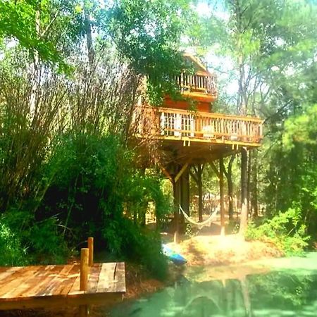 Waterfront Treehouse In A Magical Forest Waller Ngoại thất bức ảnh