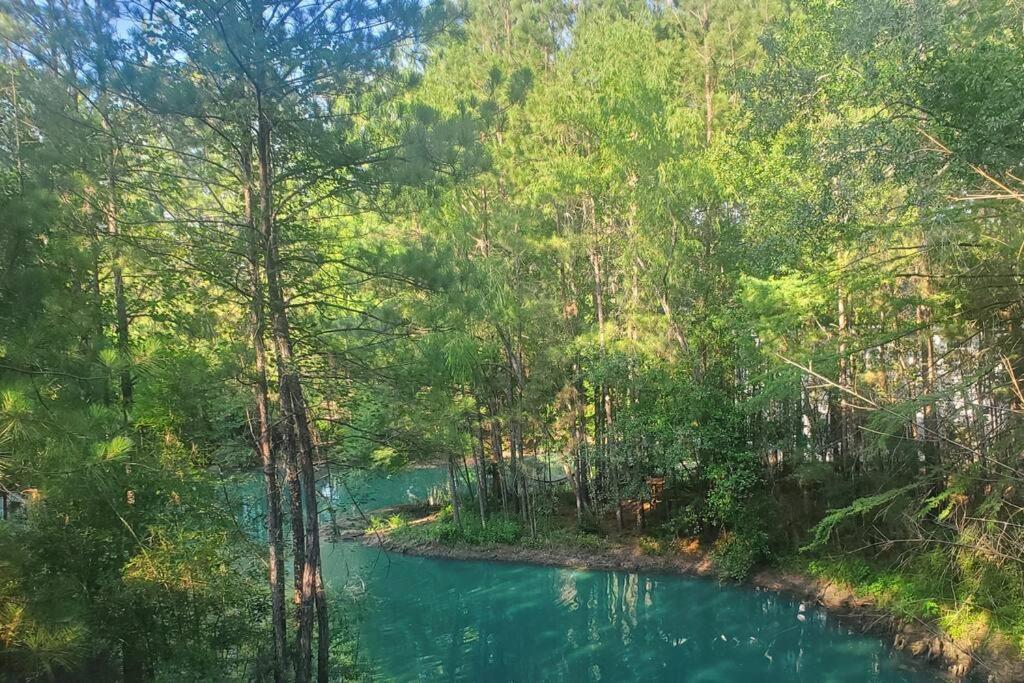 Waterfront Treehouse In A Magical Forest Waller Ngoại thất bức ảnh