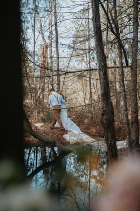 Waterfront Treehouse In A Magical Forest Waller Ngoại thất bức ảnh