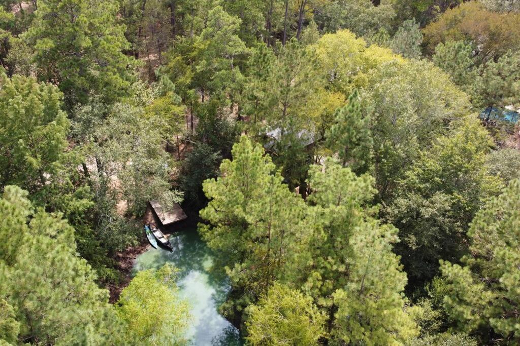 Waterfront Treehouse In A Magical Forest Waller Ngoại thất bức ảnh