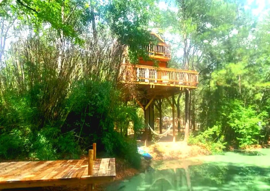 Waterfront Treehouse In A Magical Forest Waller Ngoại thất bức ảnh